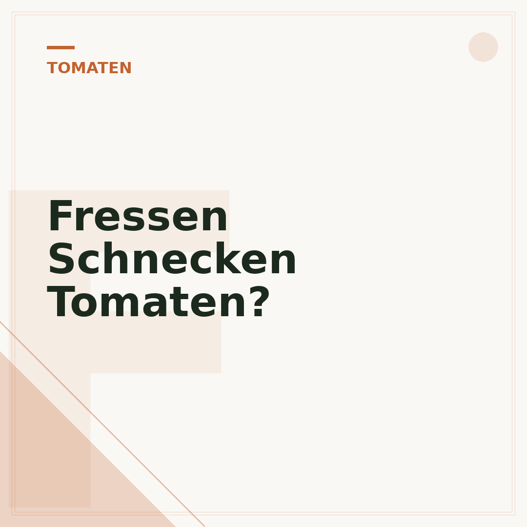 Fressen Schnecken Tomaten?