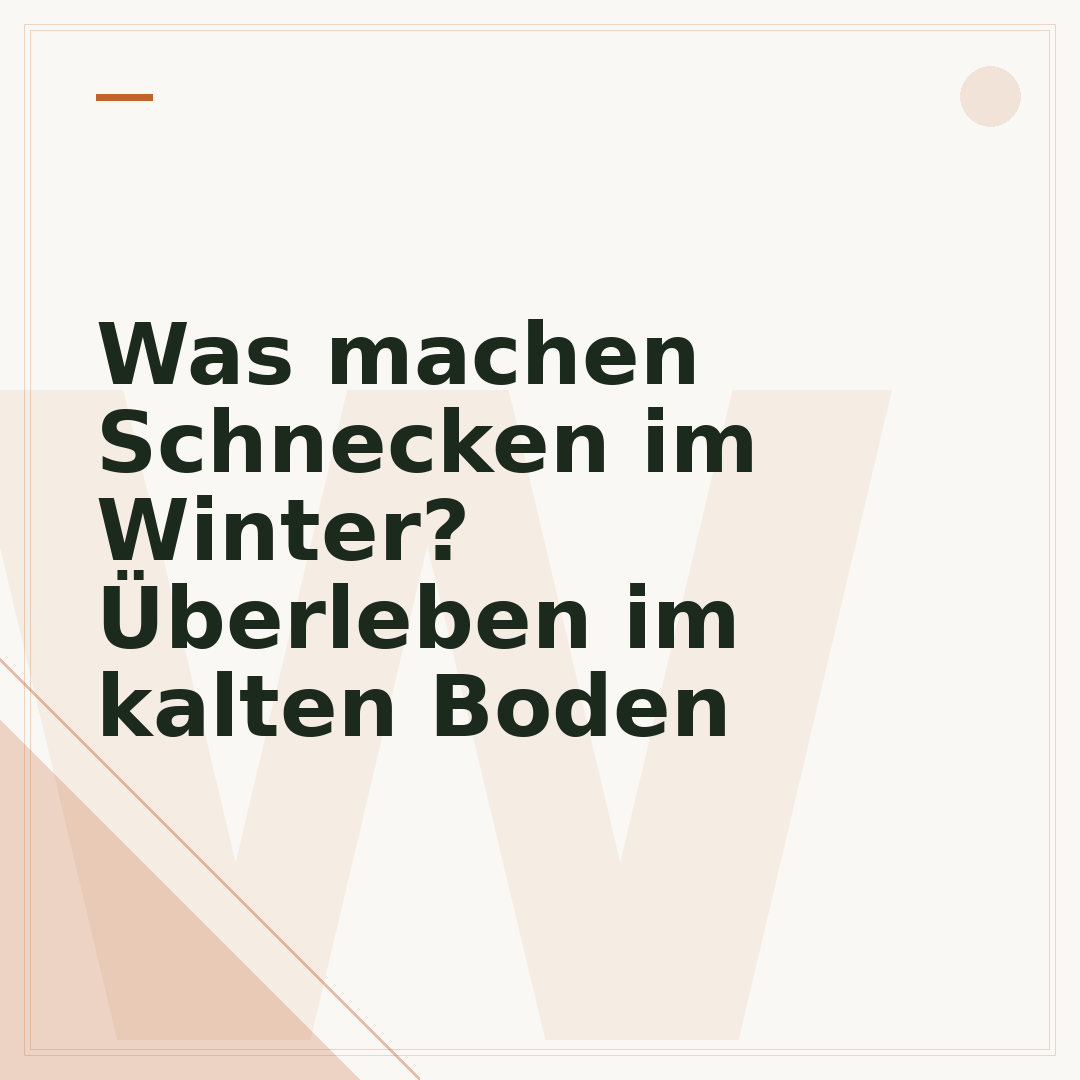 Was machen Schnecken im Winter? Überleben im kalten Boden