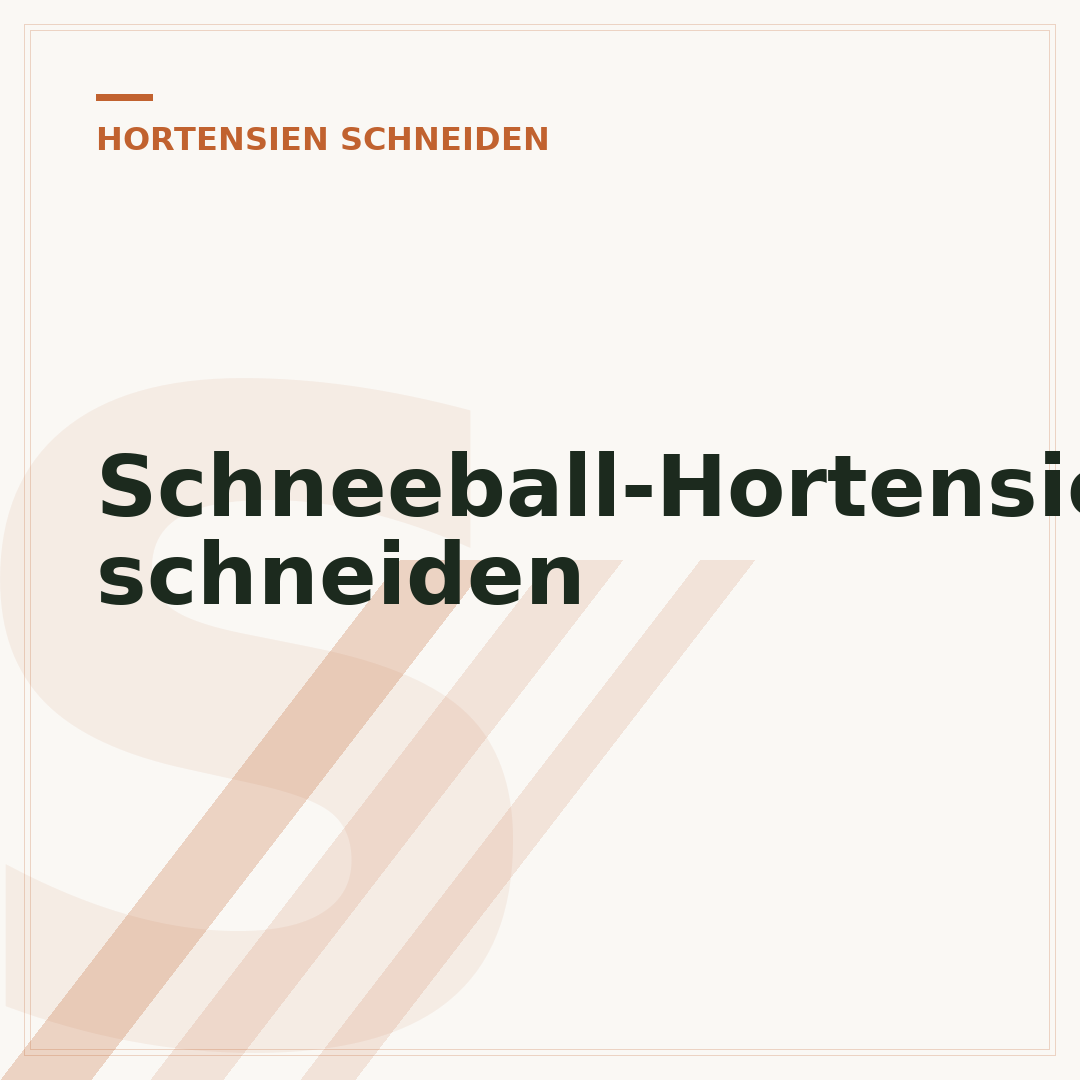 Schneeball-Hortensie schneiden