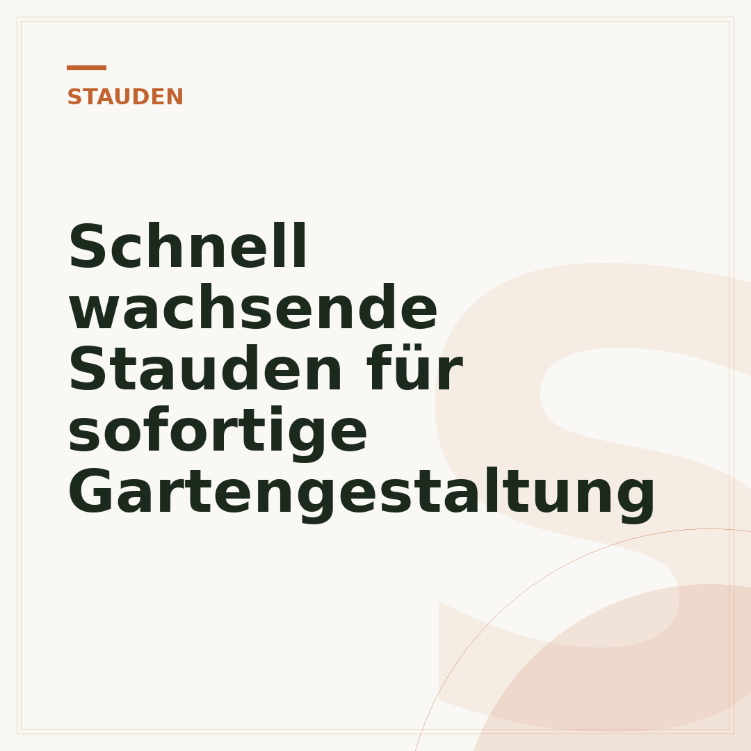 Schnell wachsende Stauden für sofortige Gartengestaltung