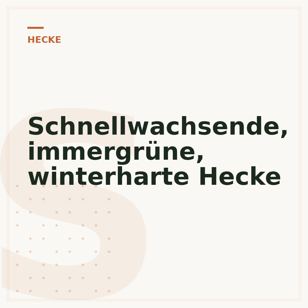 Schnellwachsende, immergrüne, winterharte Hecke
