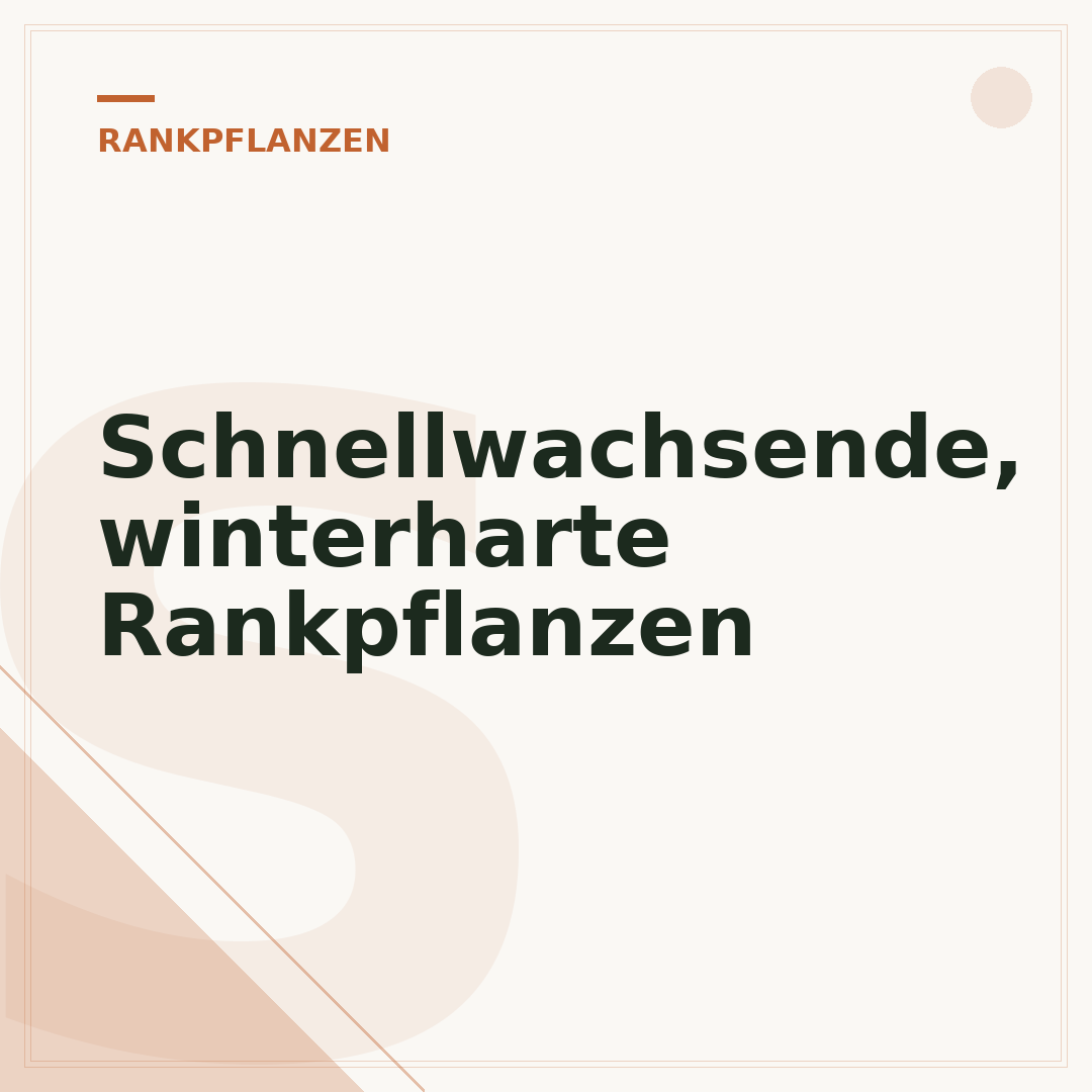 Schnellwachsende, winterharte Rankpflanzen