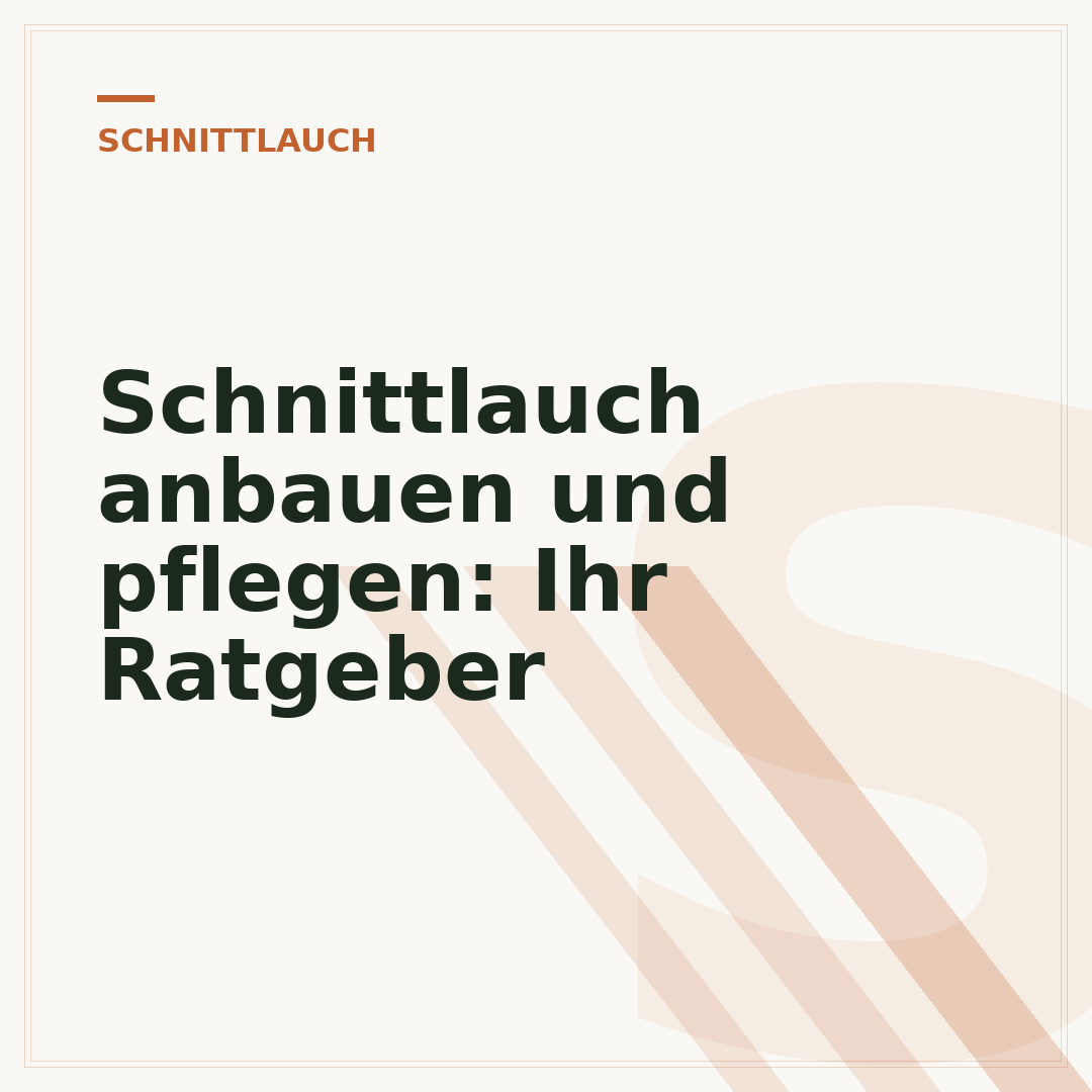 Schnittlauch anbauen und pflegen: Ihr Ratgeber