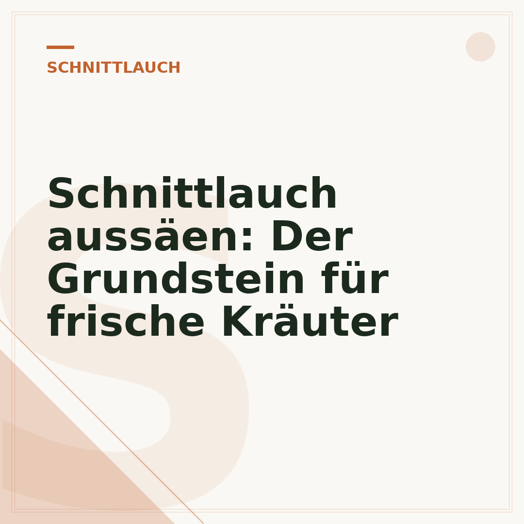 Schnittlauch aussäen: Der Grundstein für frische Kräuter