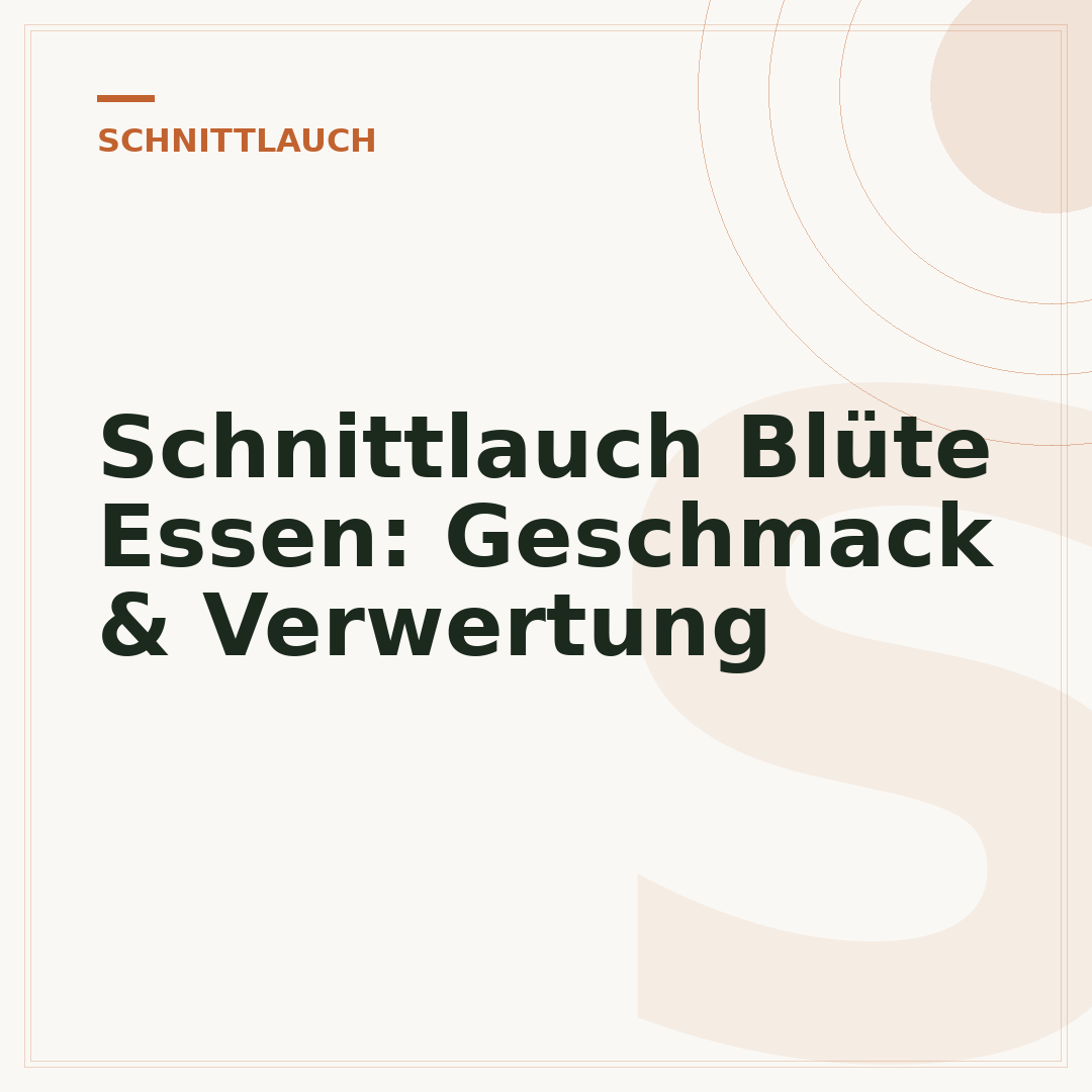 Schnittlauch Blüte Essen: Geschmack & Verwertung
