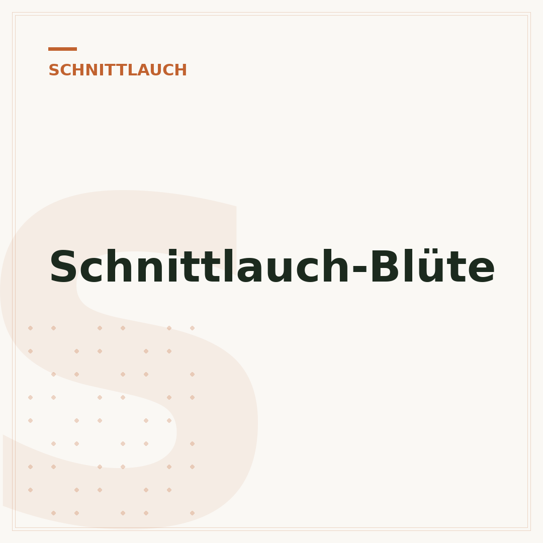 Schnittlauch-Blüte