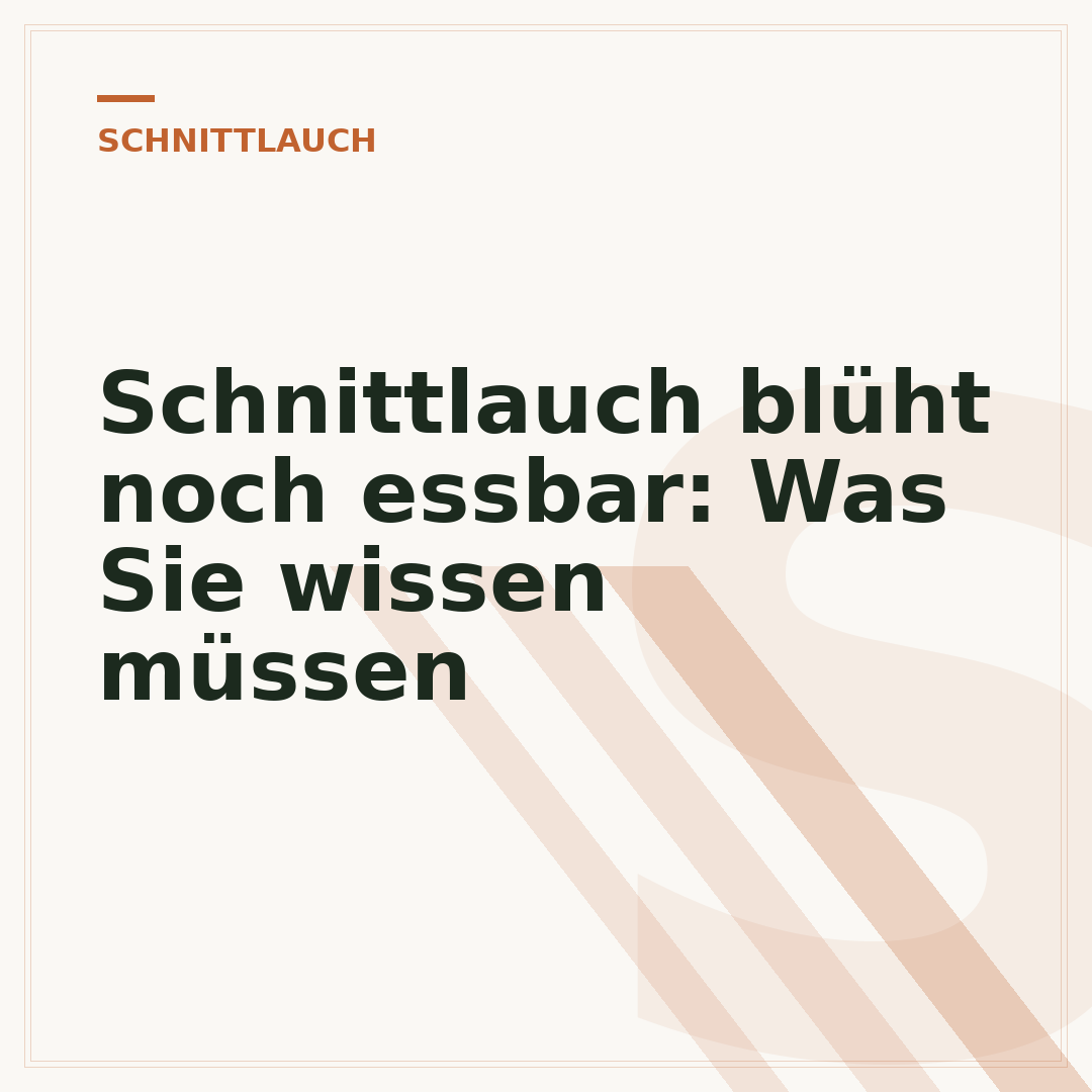 Schnittlauch blüht noch essbar: Was Sie wissen müssen