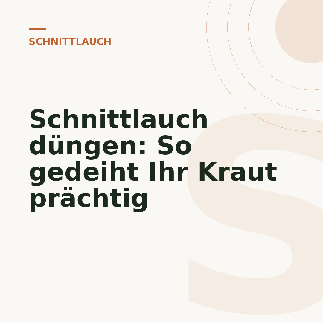 Schnittlauch düngen: So gedeiht Ihr Kraut prächtig