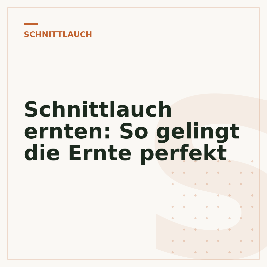 Schnittlauch ernten: So gelingt die Ernte perfekt