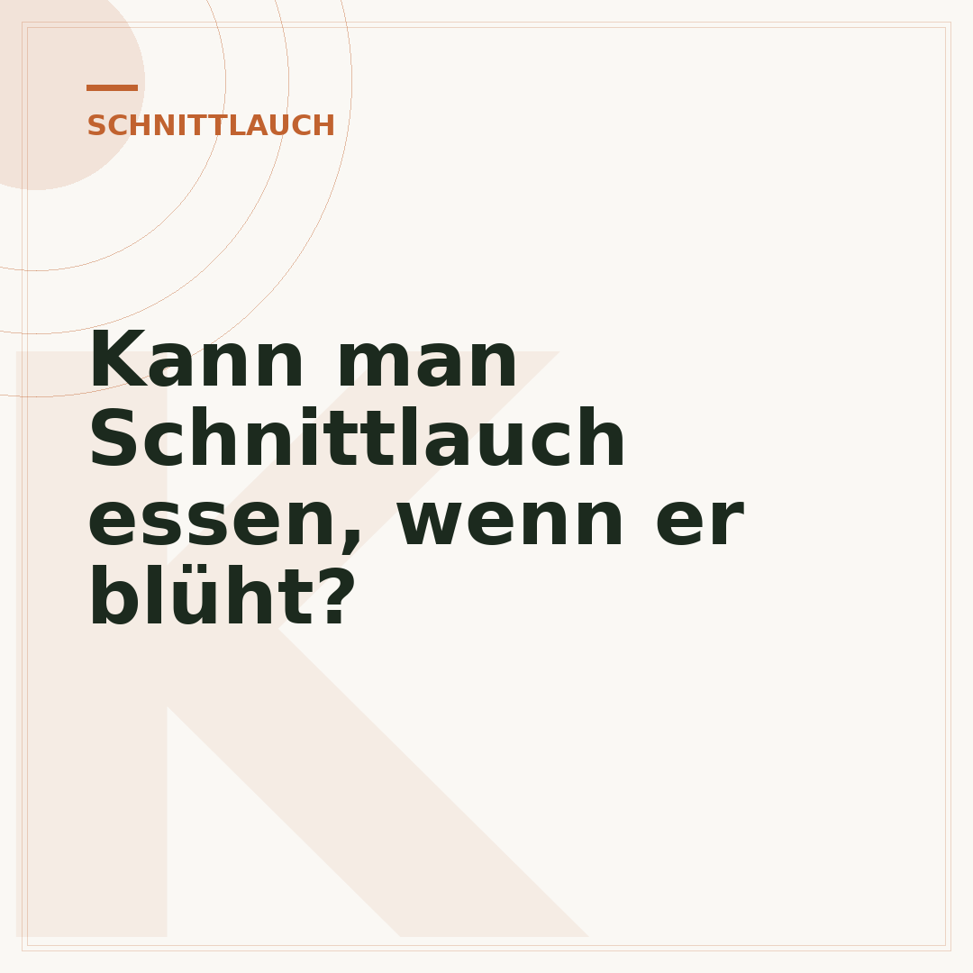 Kann man Schnittlauch essen, wenn er blüht?