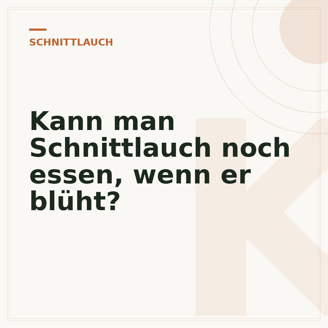 Kann man Schnittlauch noch essen, wenn er blüht?