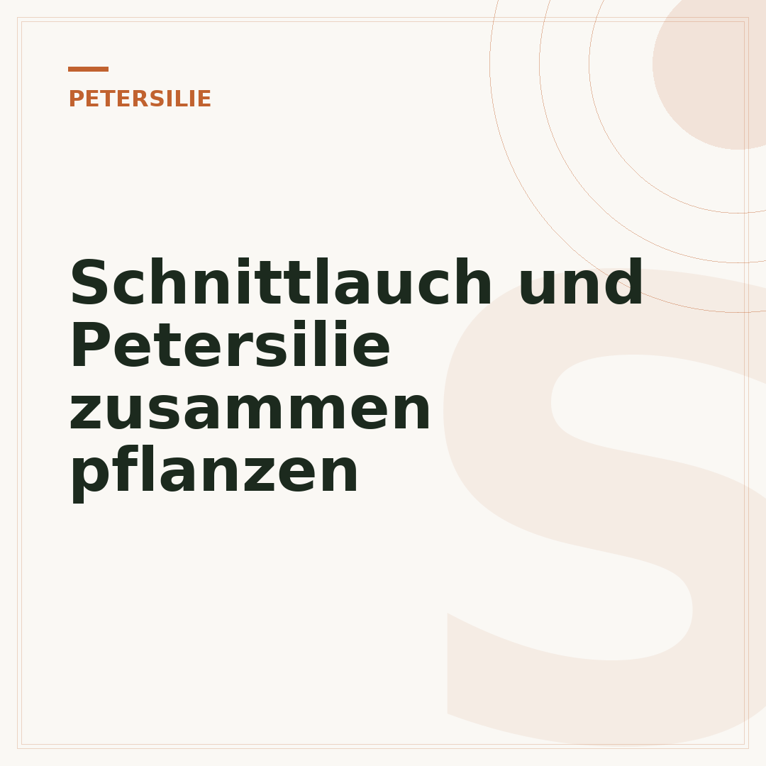 Schnittlauch und Petersilie zusammen pflanzen