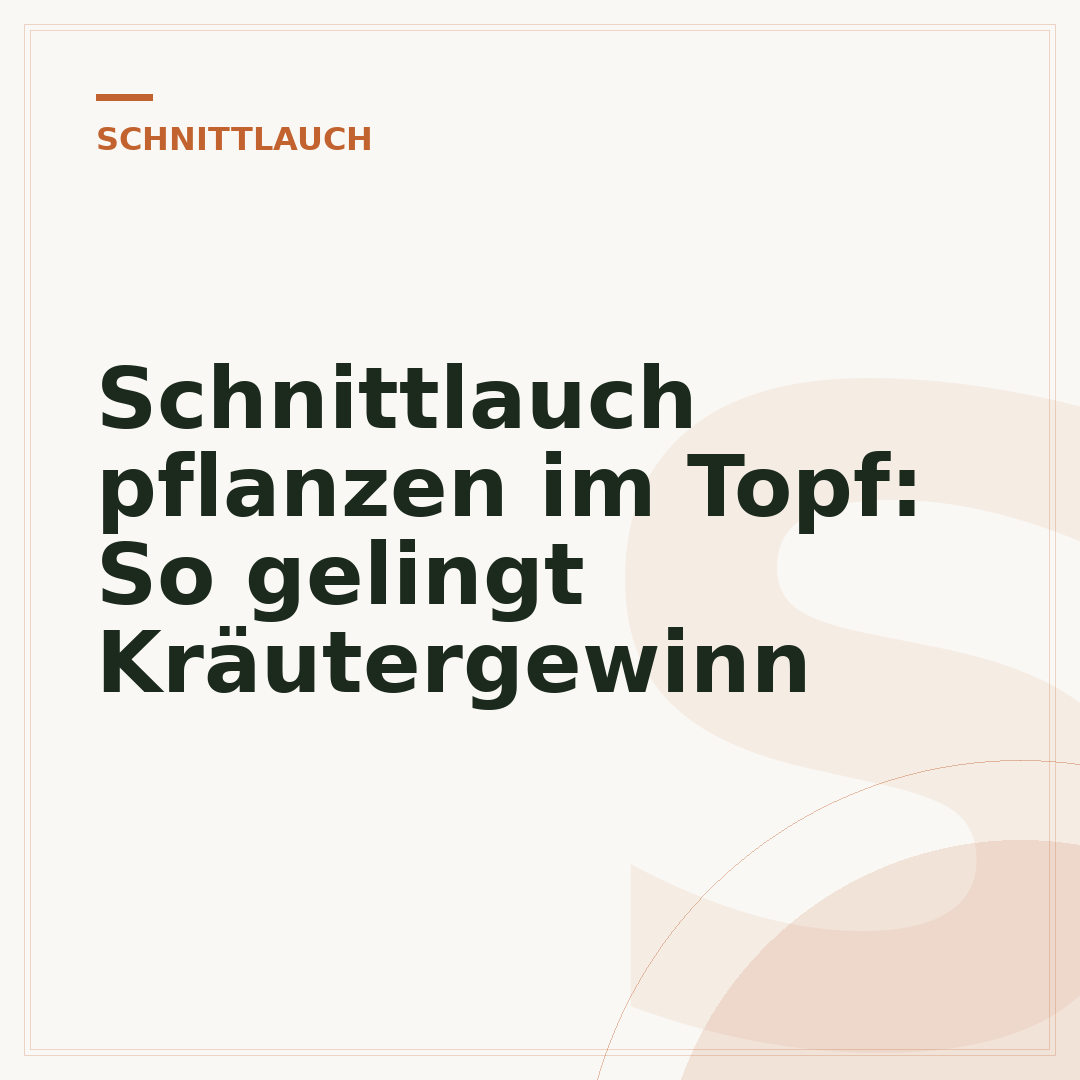 Schnittlauch pflanzen im Topf: So gelingt Kräutergewinn