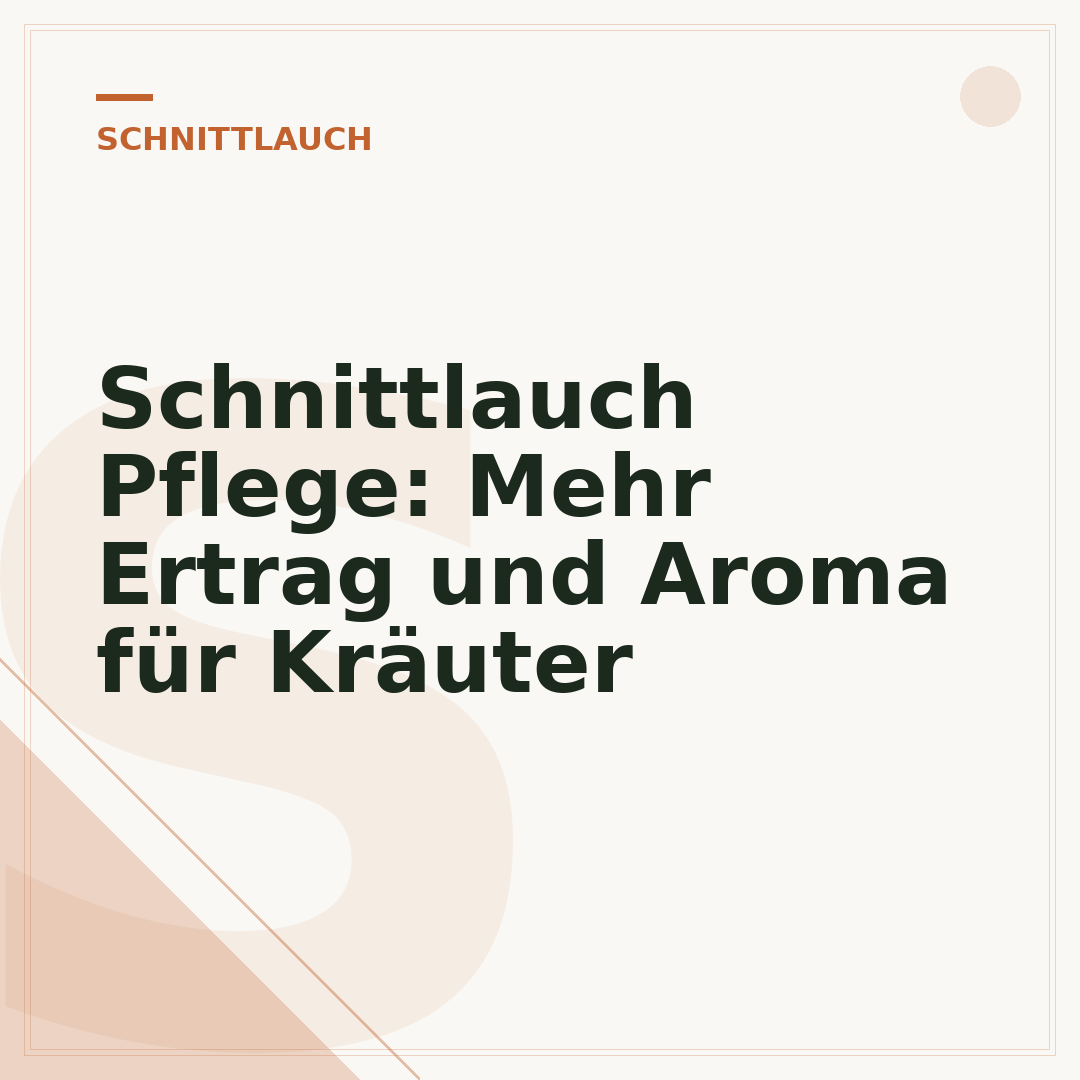 Schnittlauch Pflege: Mehr Ertrag und Aroma für Kräuter