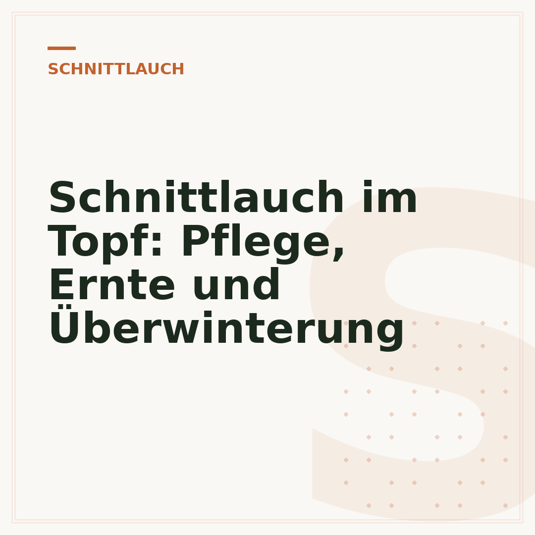 Schnittlauch im Topf: Pflege, Ernte und Überwinterung