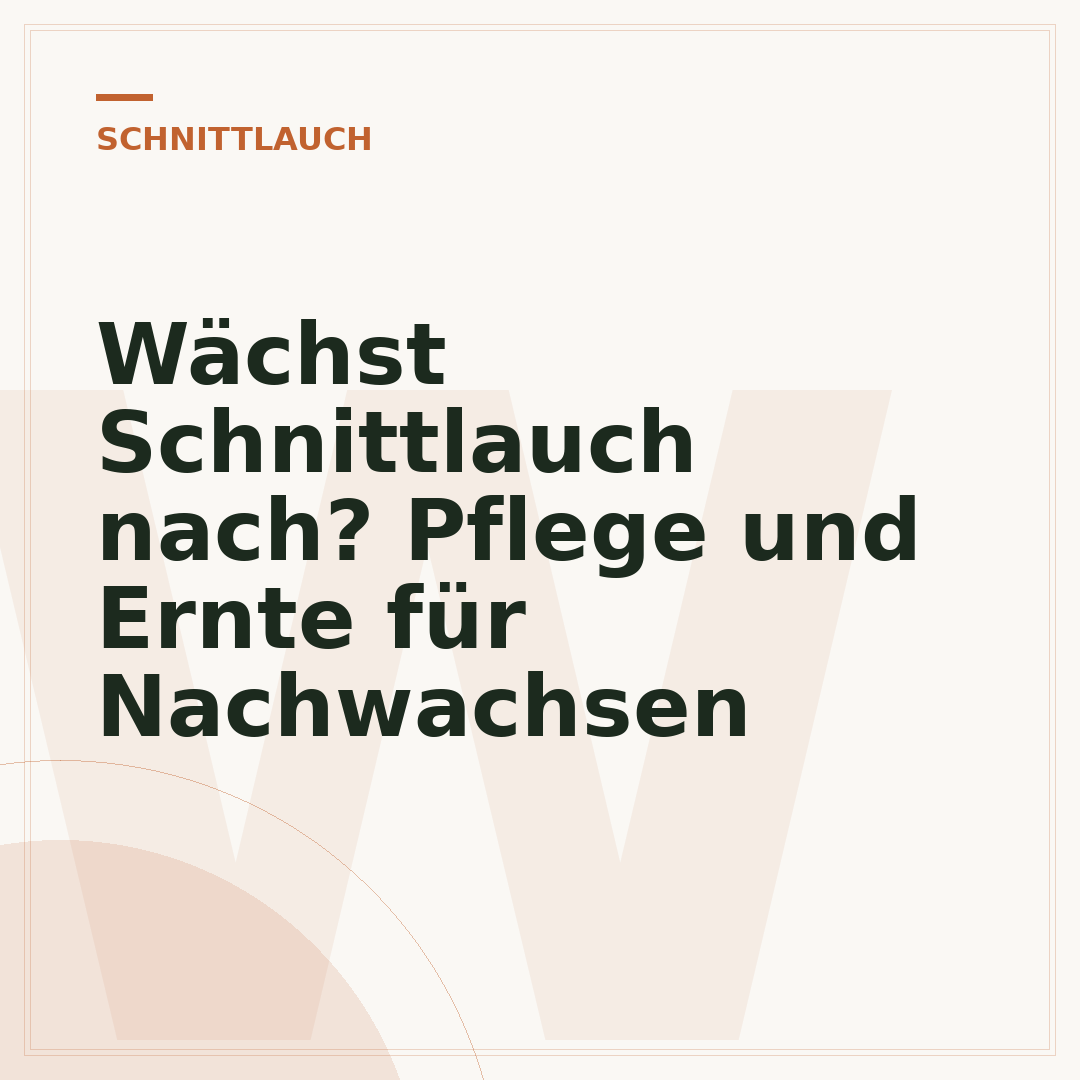 Wächst Schnittlauch nach? Pflege und Ernte für Nachwachsen