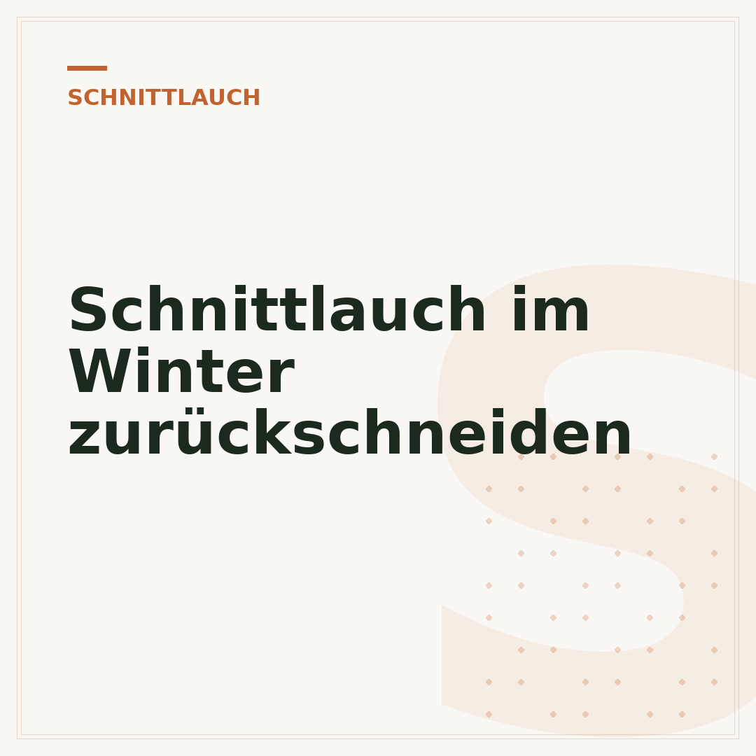 Schnittlauch im Winter zurückschneiden