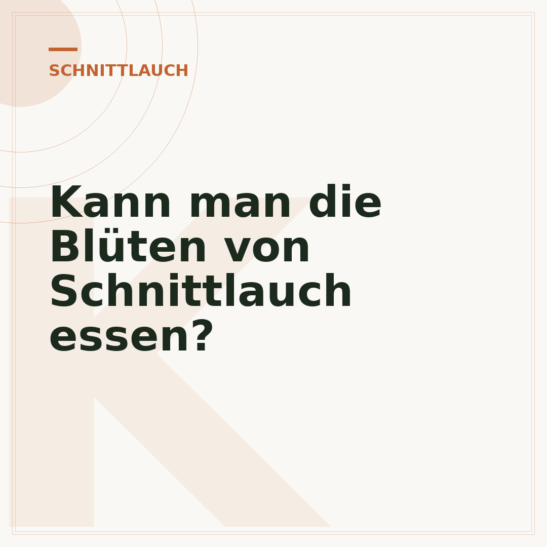 Kann man die Blüten von Schnittlauch essen?