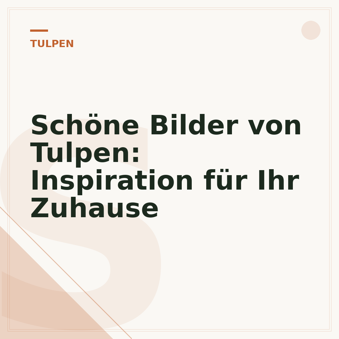 Schöne Bilder von Tulpen: Inspiration für Ihr Zuhause