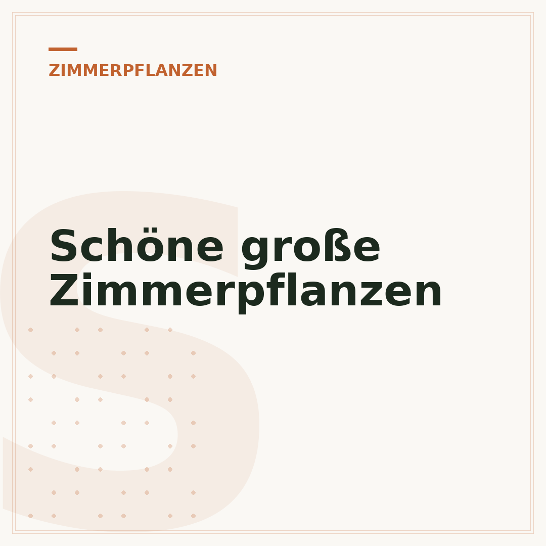 Schöne große Zimmerpflanzen