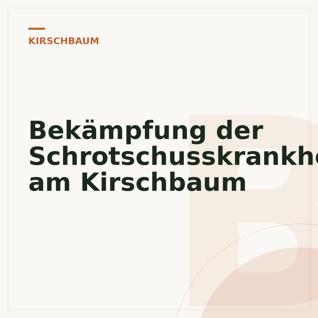 Bekämpfung der Schrotschusskrankheit am Kirschbaum