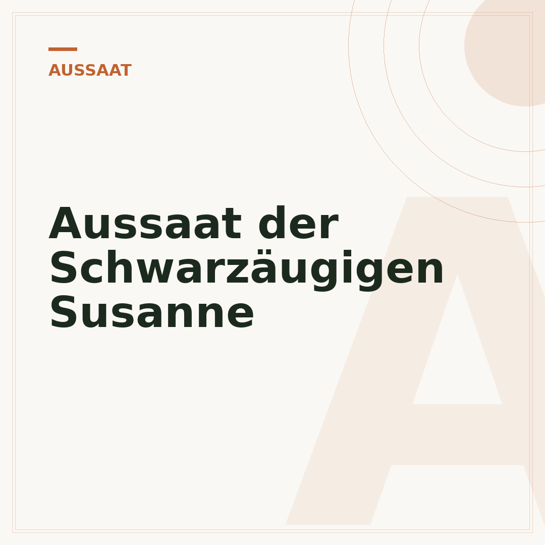 Aussaat der Schwarzäugigen Susanne