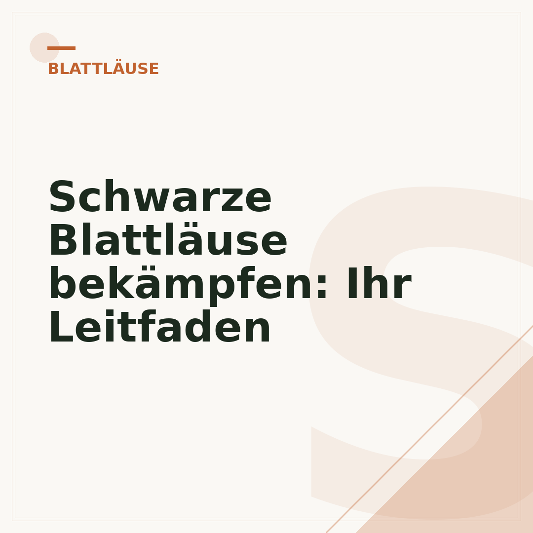 Schwarze Blattläuse bekämpfen: Ihr Leitfaden
