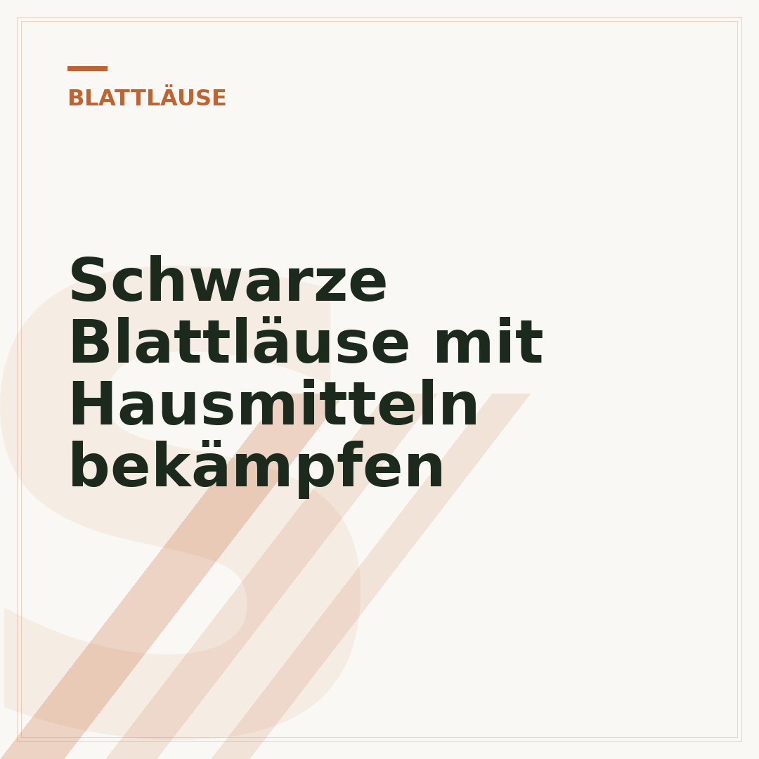 Schwarze Blattläuse mit Hausmitteln bekämpfen
