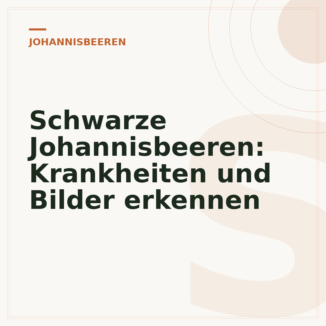 Schwarze Johannisbeeren: Krankheiten und Bilder erkennen
