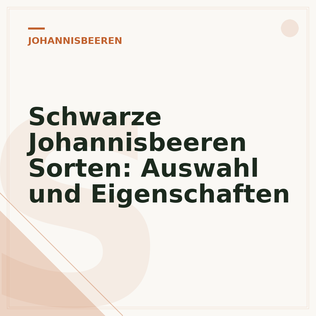 Schwarze Johannisbeeren Sorten: Auswahl und Eigenschaften