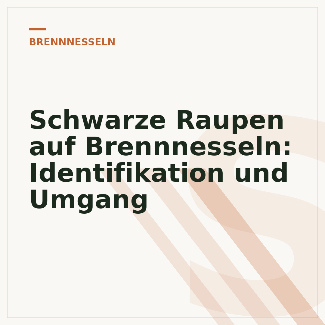 Schwarze Raupen auf Brennnesseln: Identifikation und Umgang
