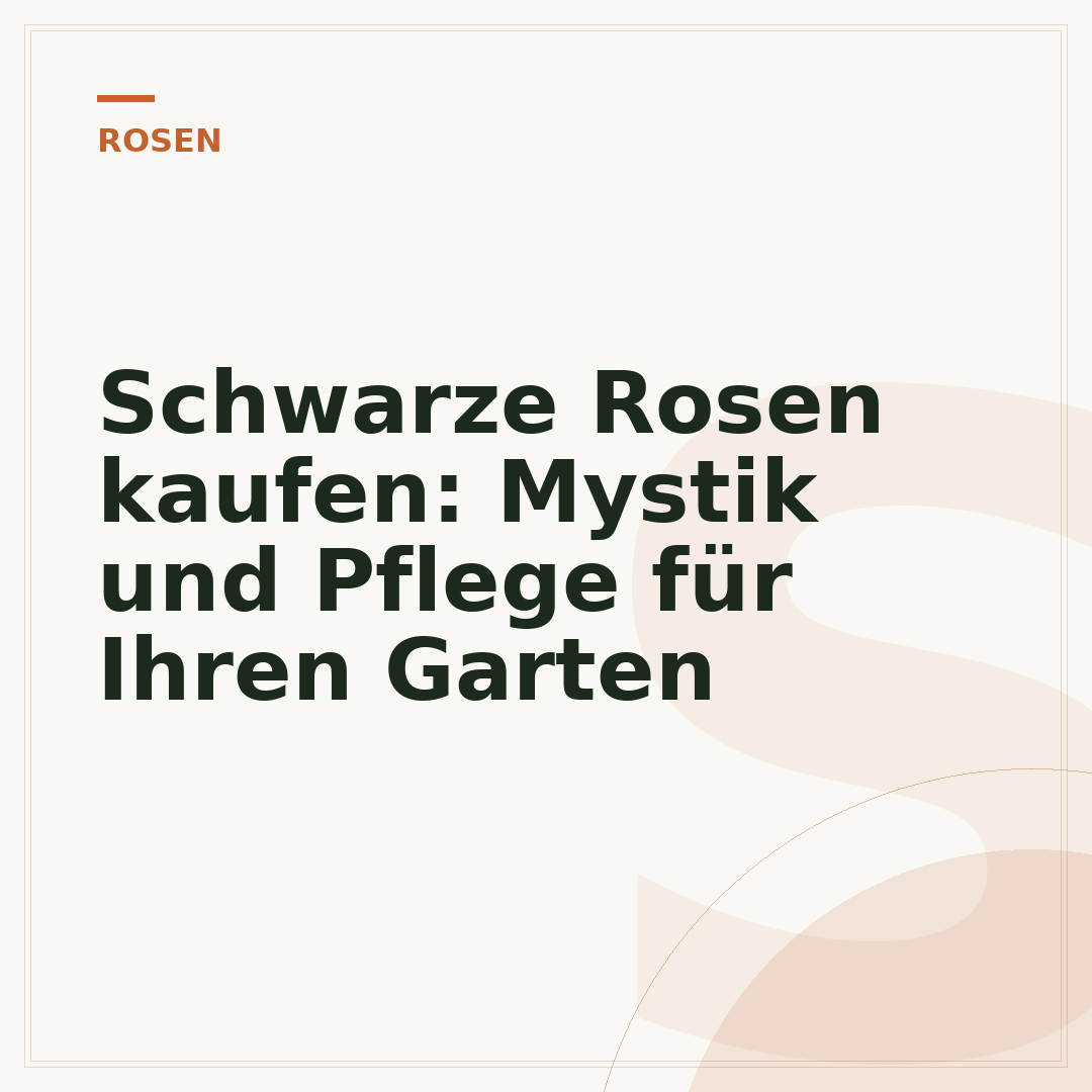 Schwarze Rosen kaufen: Mystik und Pflege für Ihren Garten