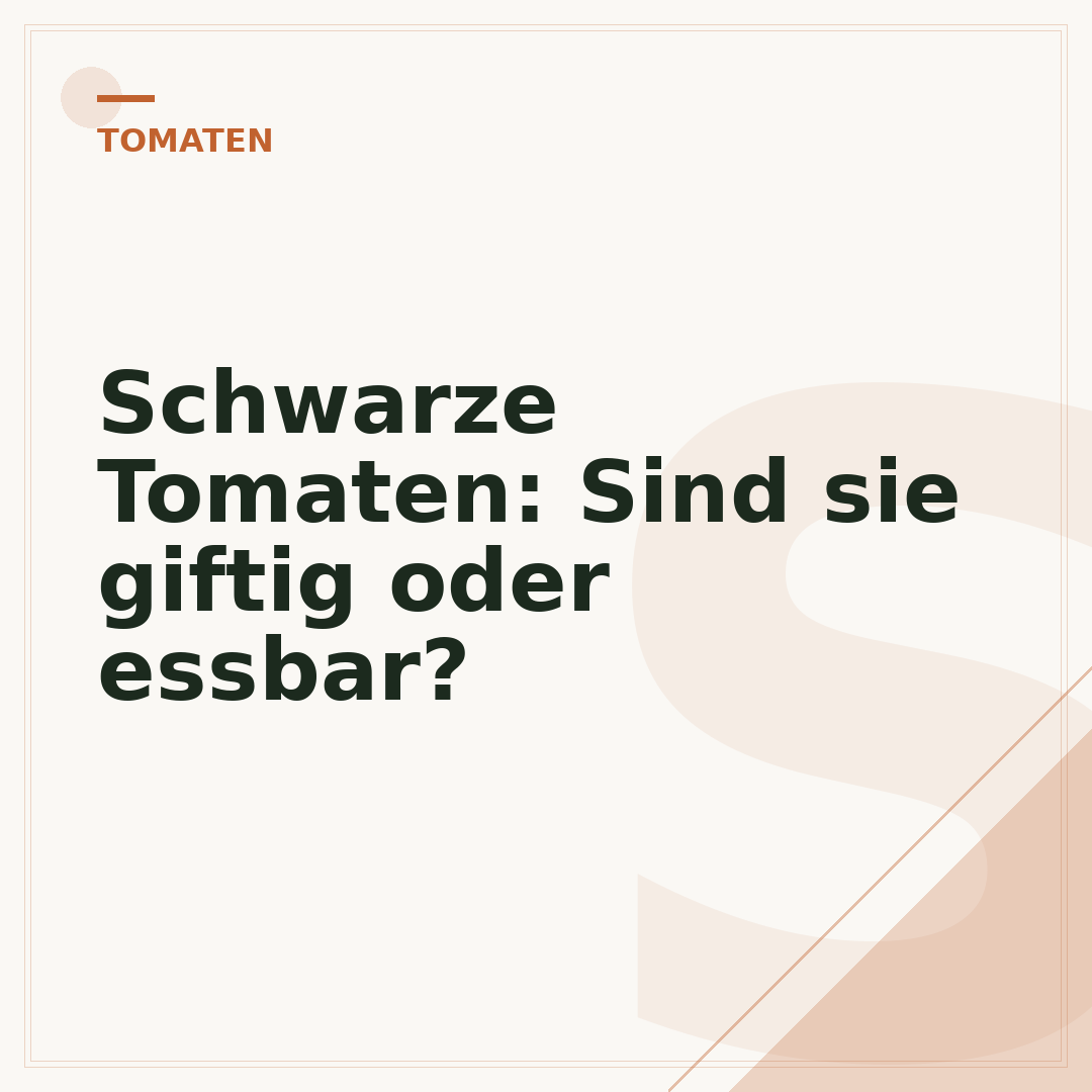 Schwarze Tomaten: Sind sie giftig oder essbar?