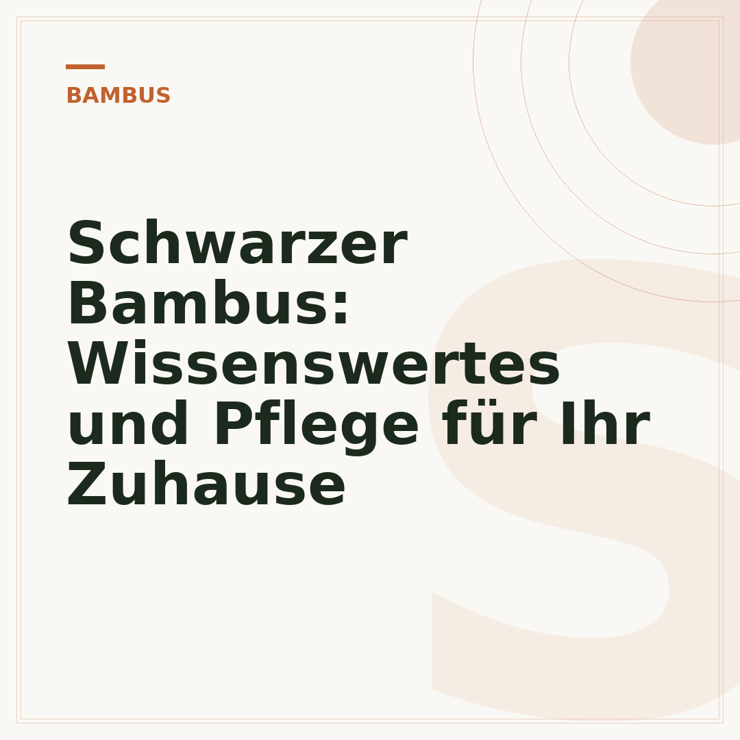 Schwarzer Bambus: Wissenswertes und Pflege für Ihr Zuhause