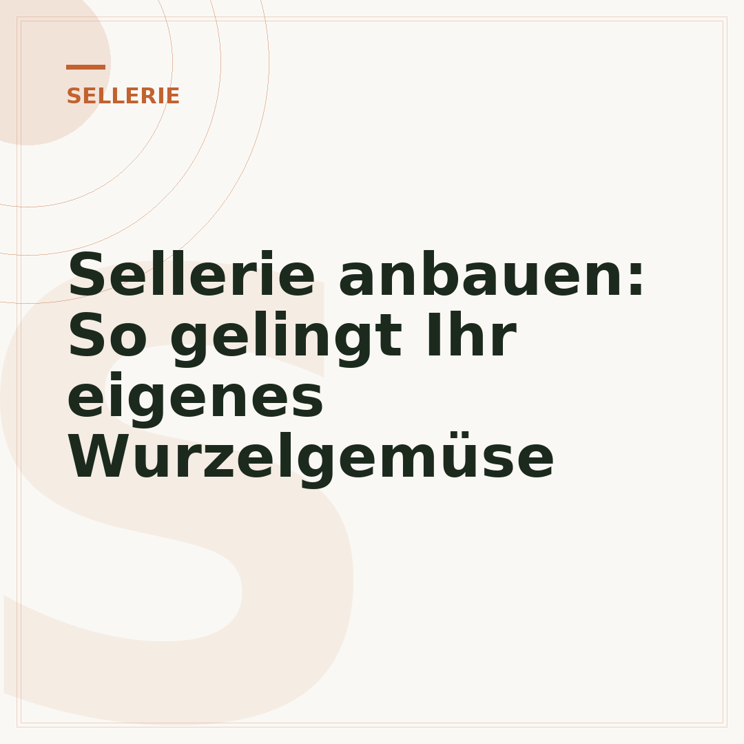 Sellerie anbauen: So gelingt Ihr eigenes Wurzelgemüse