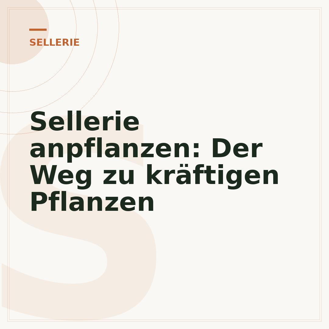 Sellerie anpflanzen: Der Weg zu kräftigen Pflanzen