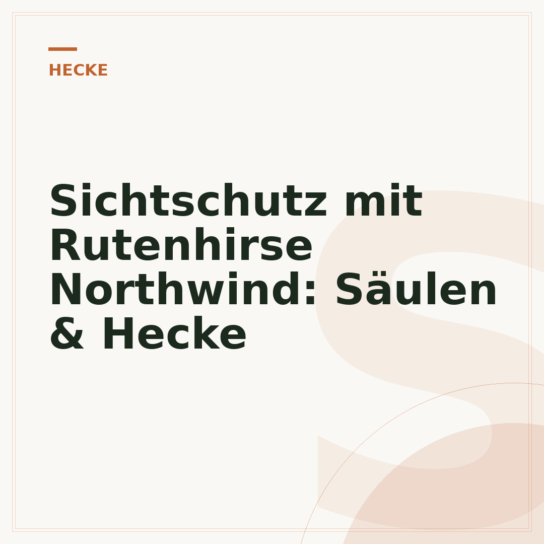 Sichtschutz mit Rutenhirse Northwind: Säulen & Hecke