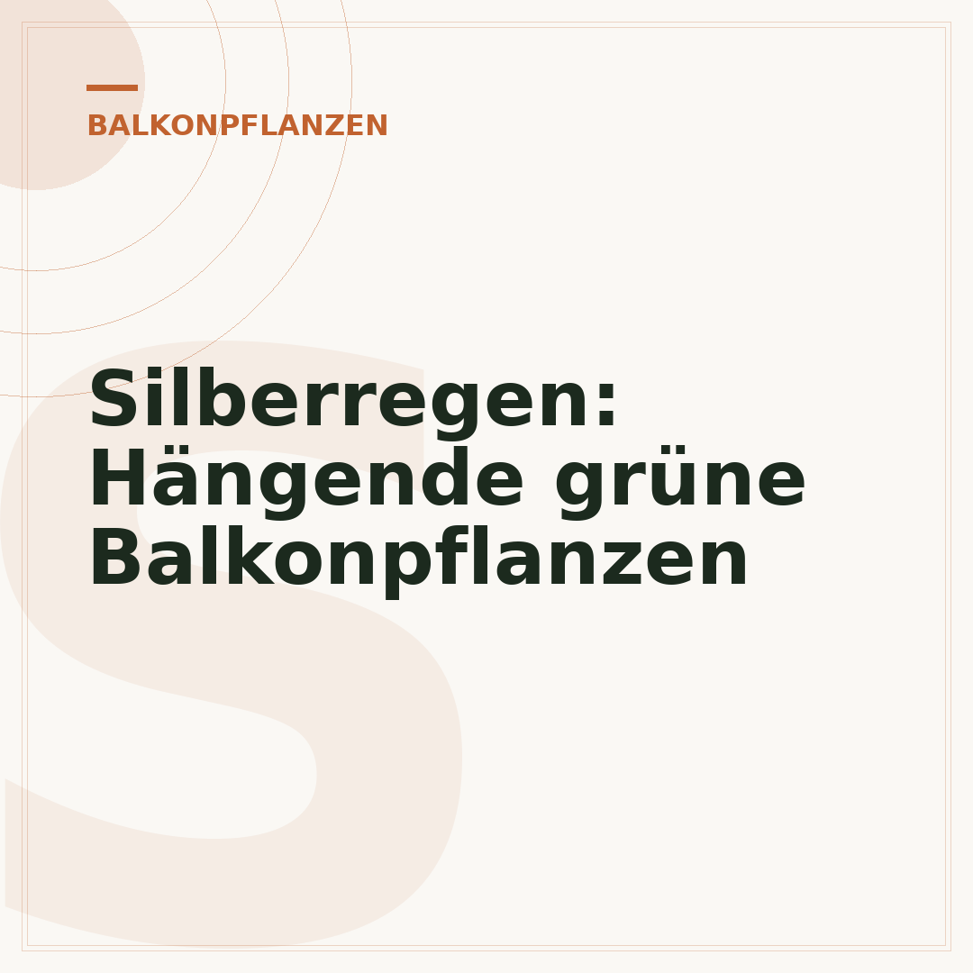 Silberregen: Hängende grüne Balkonpflanzen