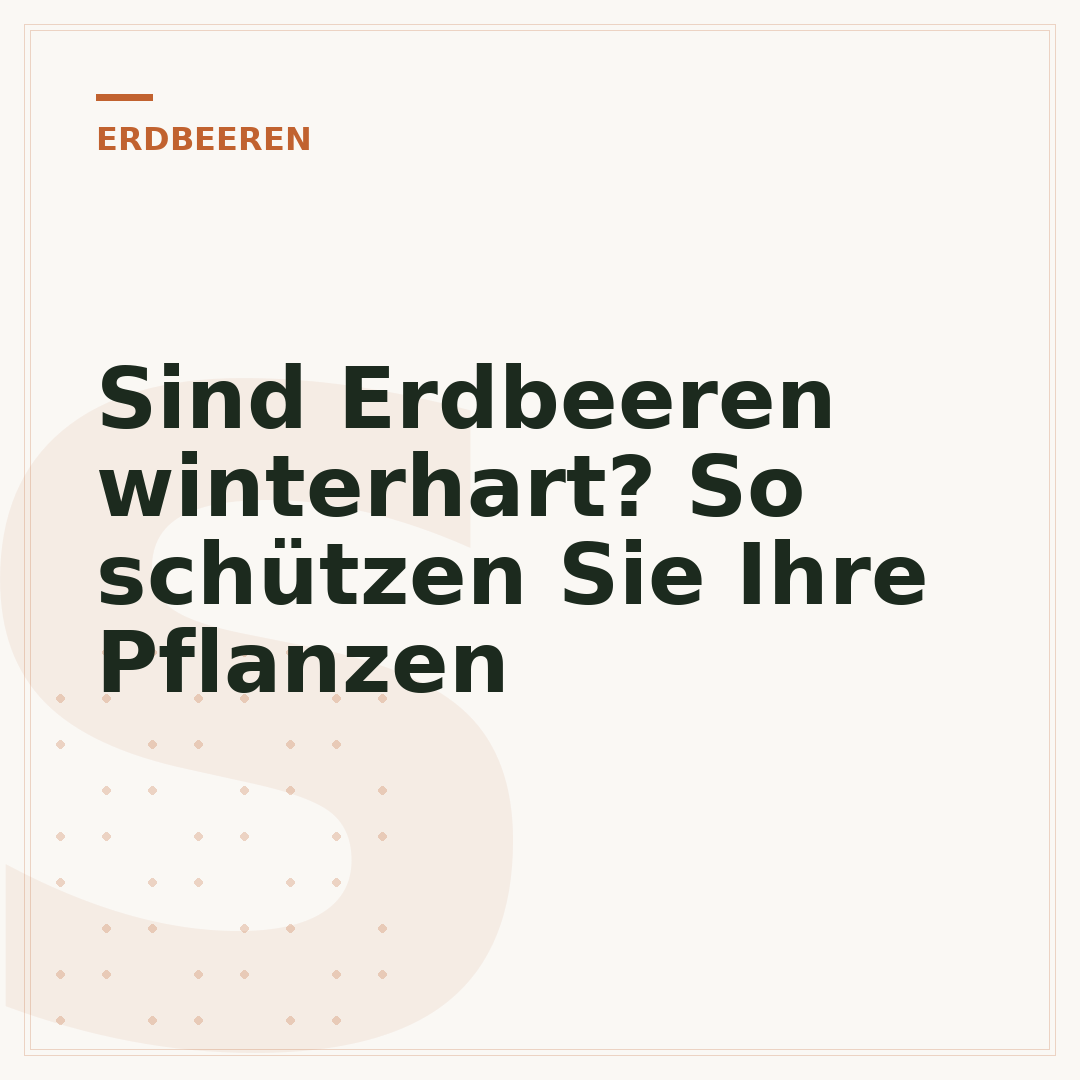 Sind Erdbeeren winterhart? So schützen Sie Ihre Pflanzen