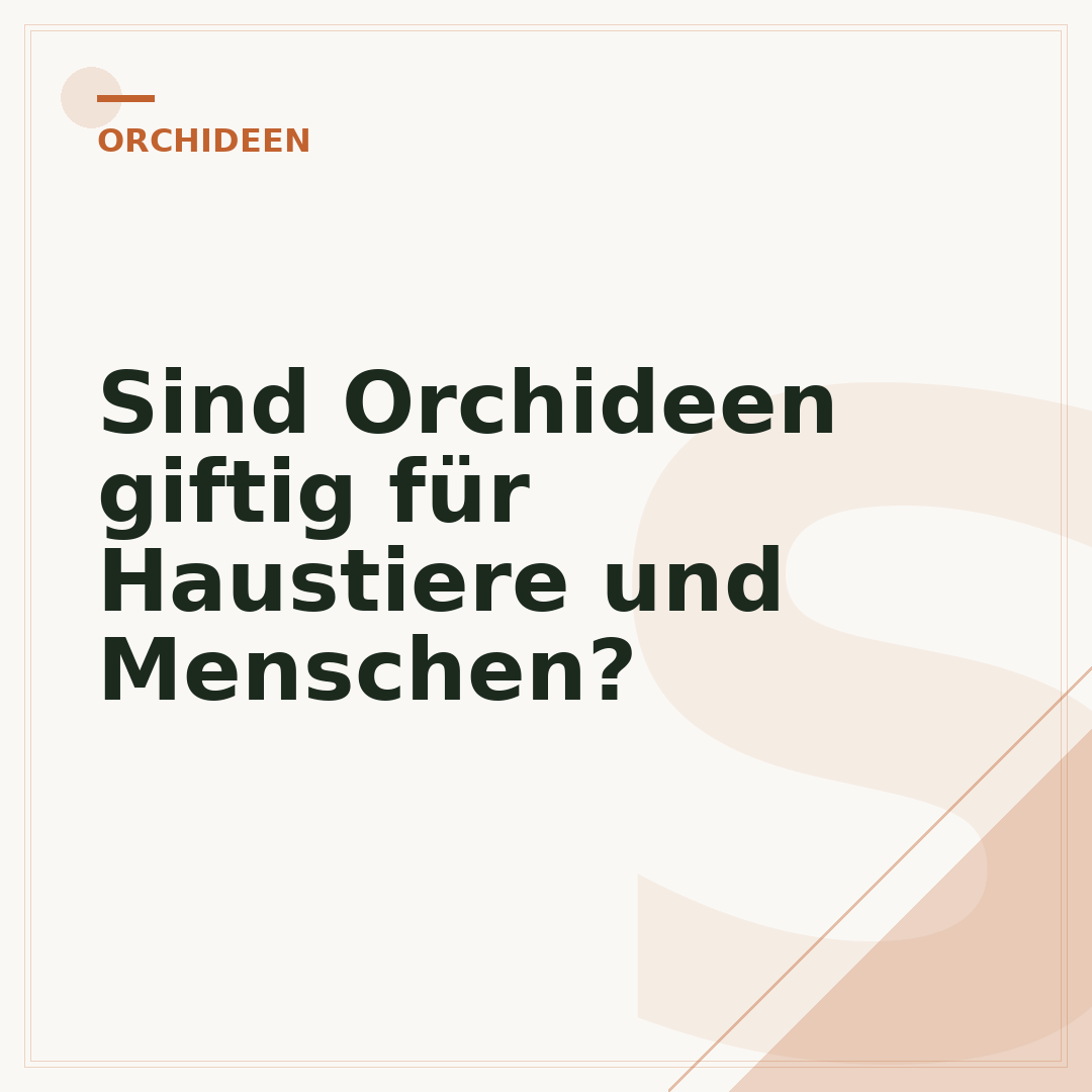 Sind Orchideen giftig für Haustiere und Menschen?