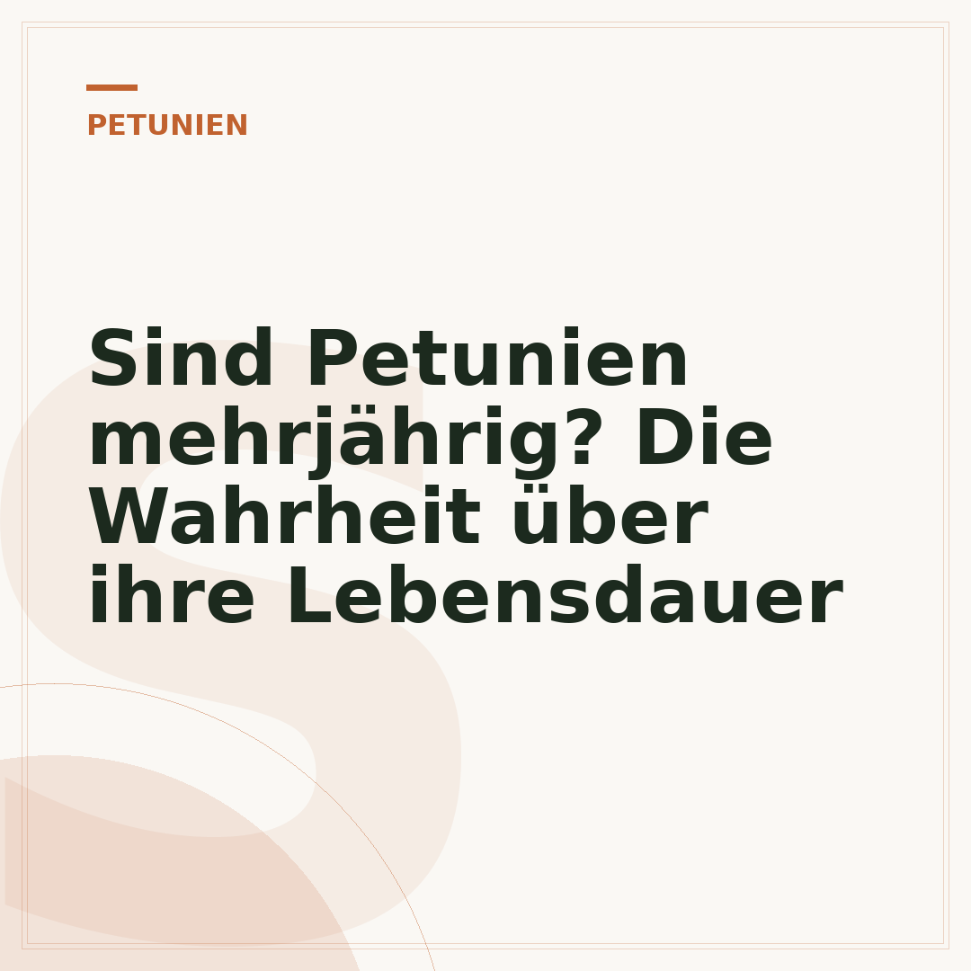 Sind Petunien mehrjährig? Die Wahrheit über ihre Lebensdauer