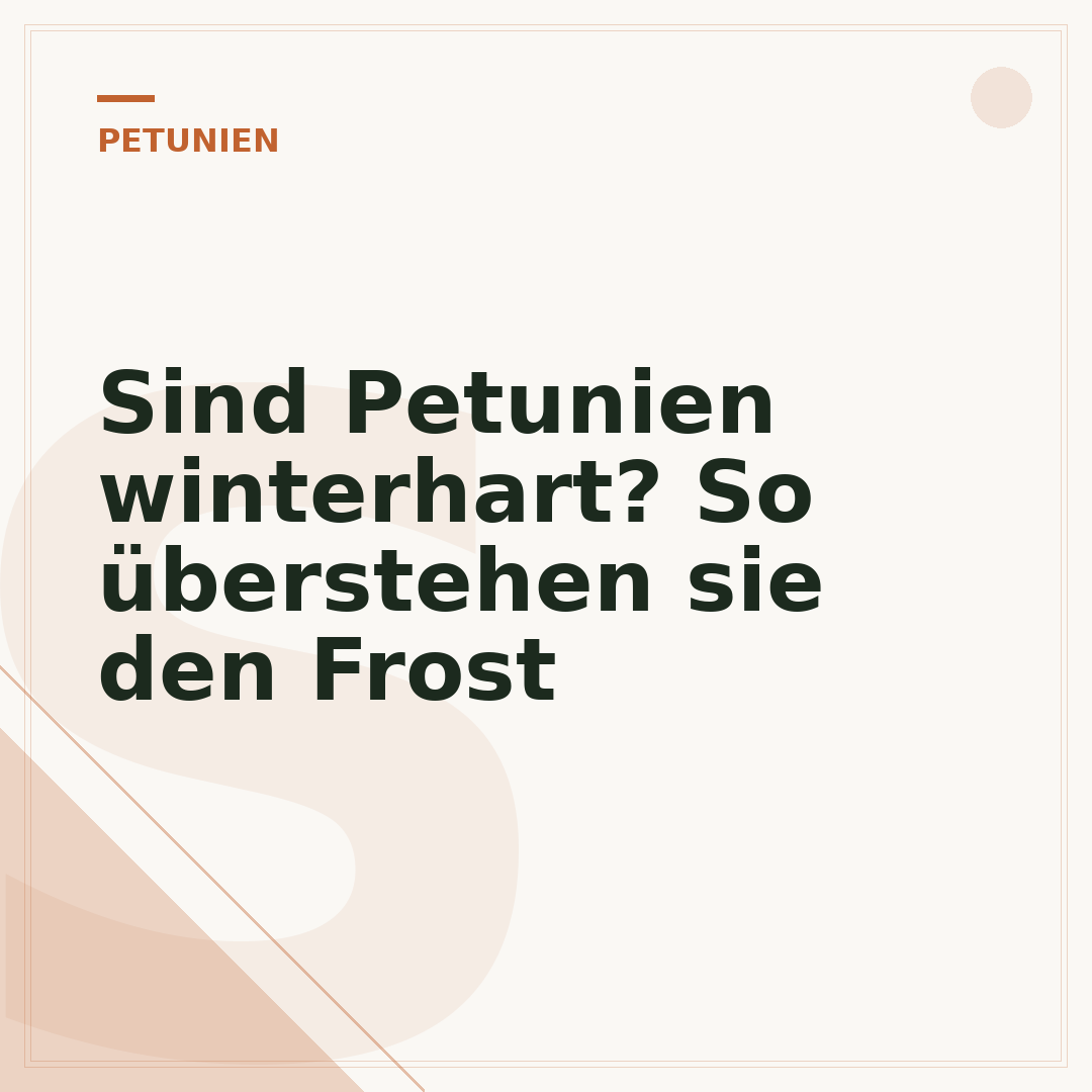 Sind Petunien winterhart? So überstehen sie den Frost