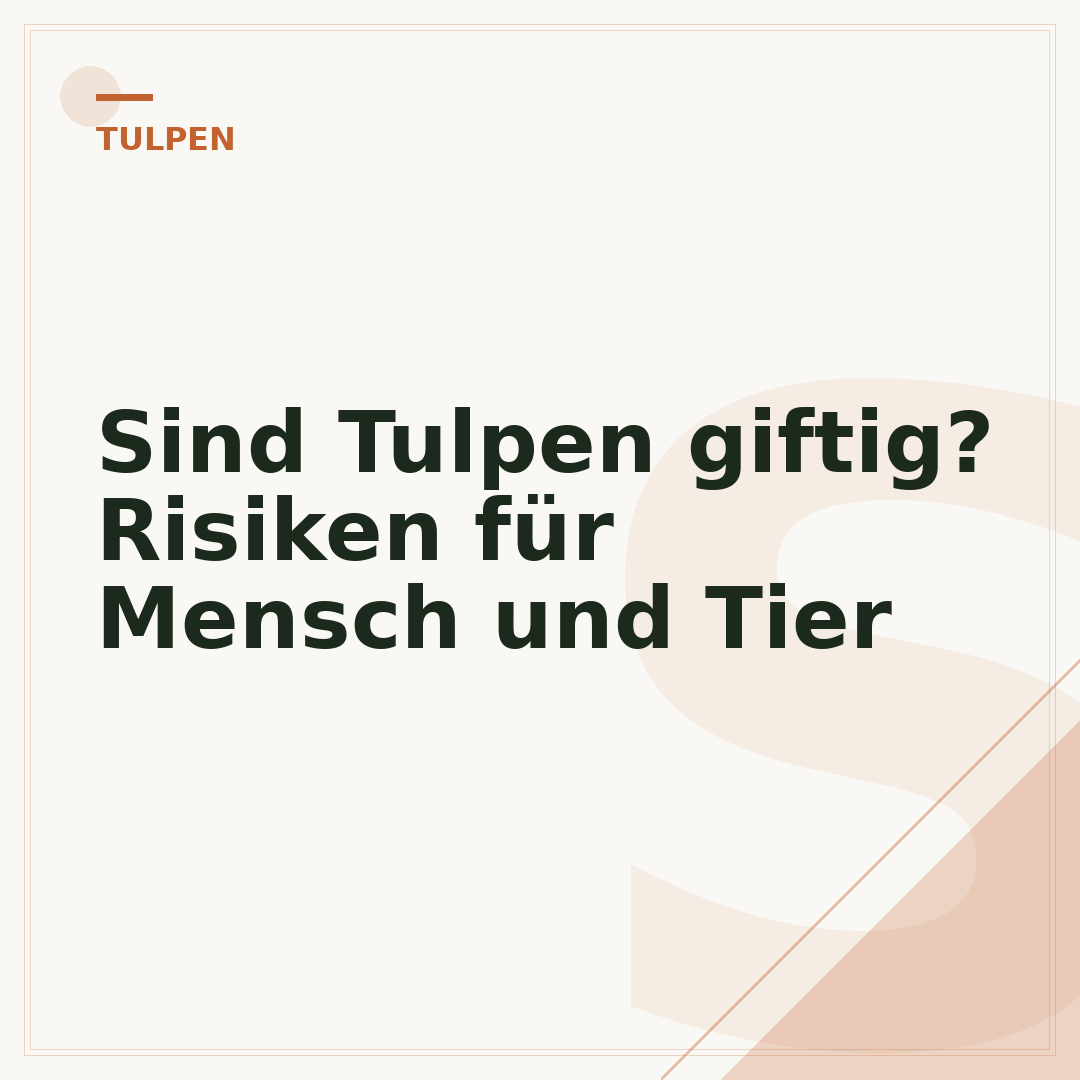 Sind Tulpen giftig? Risiken für Mensch und Tier