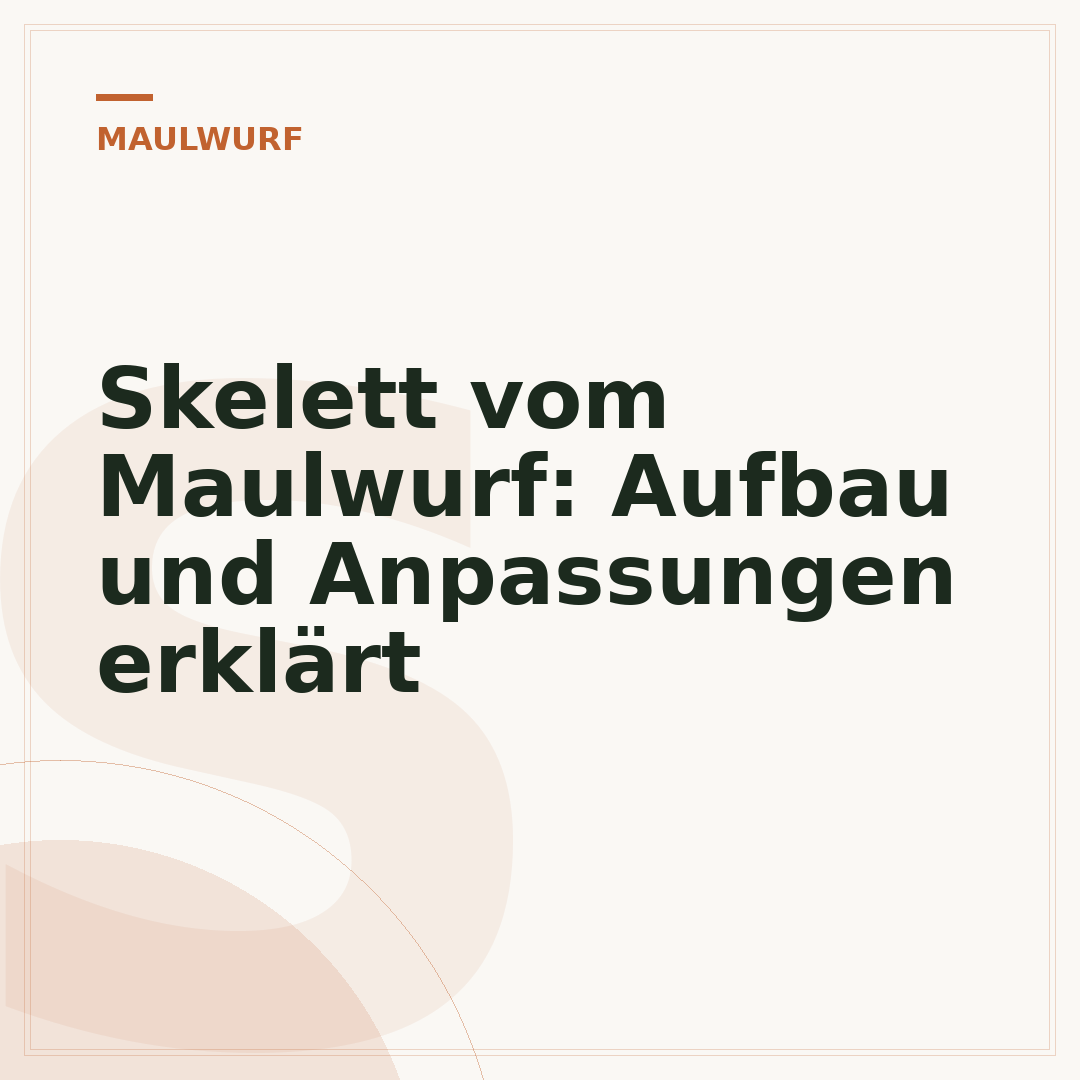 Skelett vom Maulwurf: Aufbau und Anpassungen erklärt