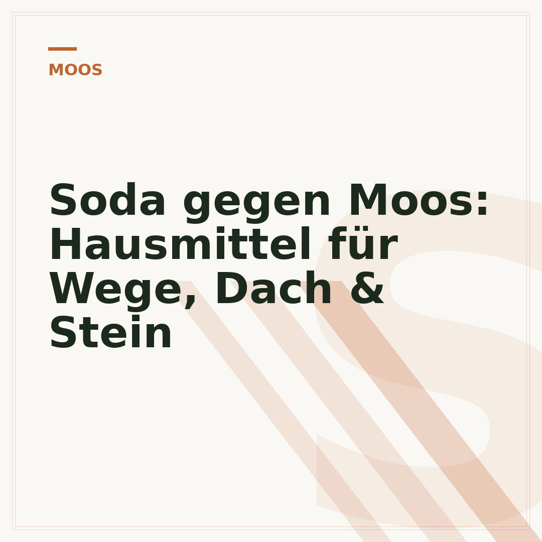 Soda gegen Moos: Hausmittel für Wege, Dach & Stein