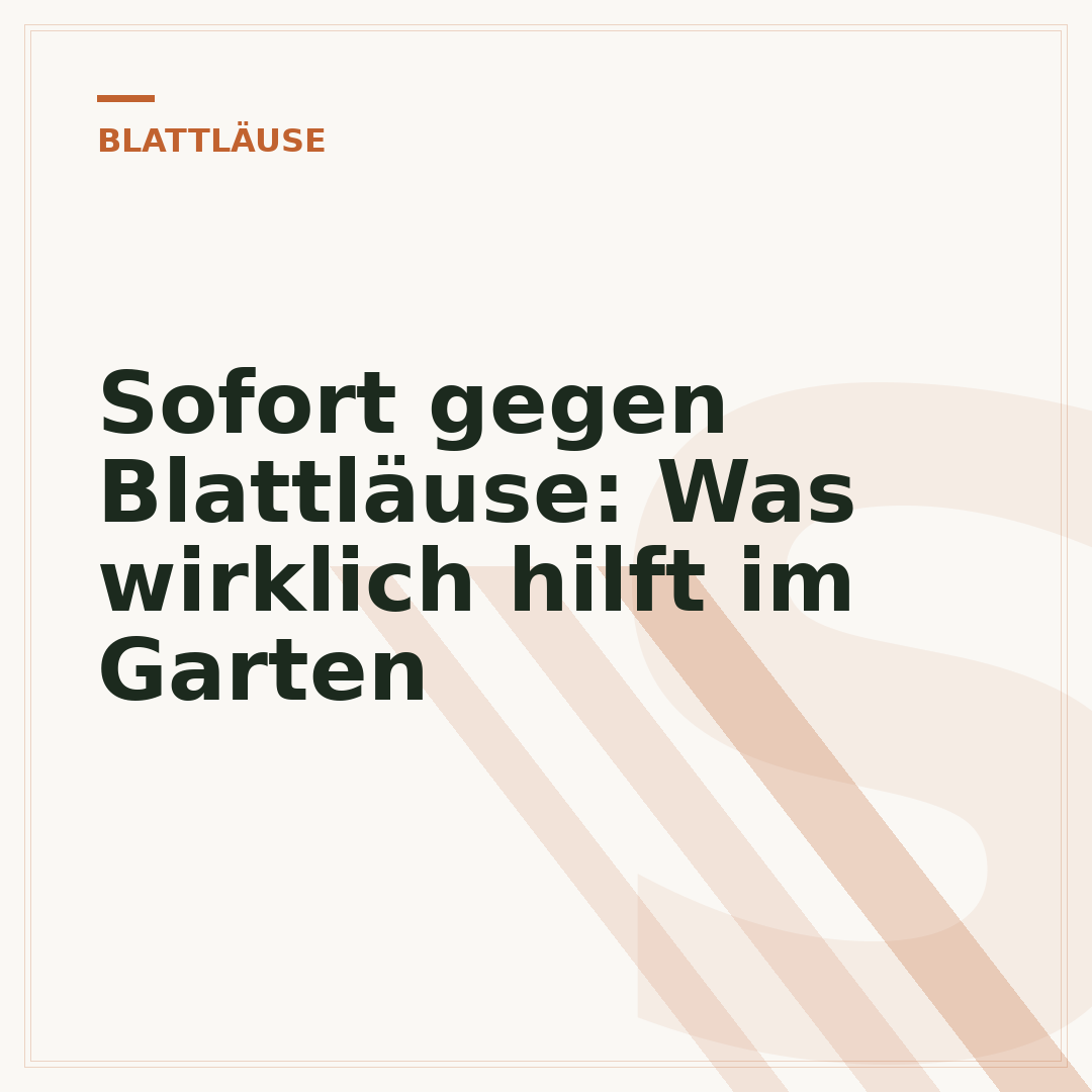 Sofort gegen Blattläuse: Was wirklich hilft im Garten