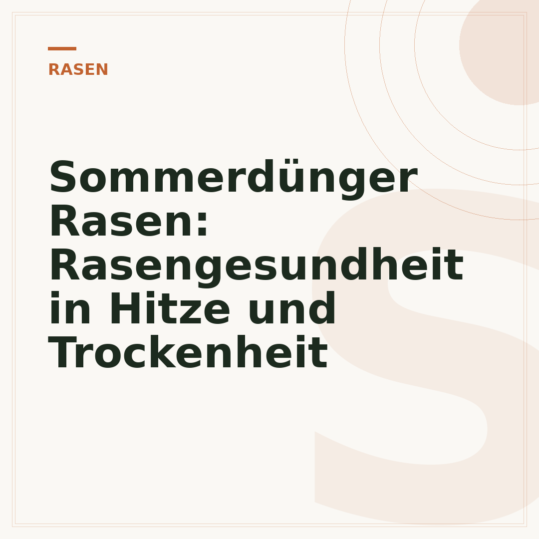 Sommerdünger Rasen: Rasengesundheit in Hitze und Trockenheit