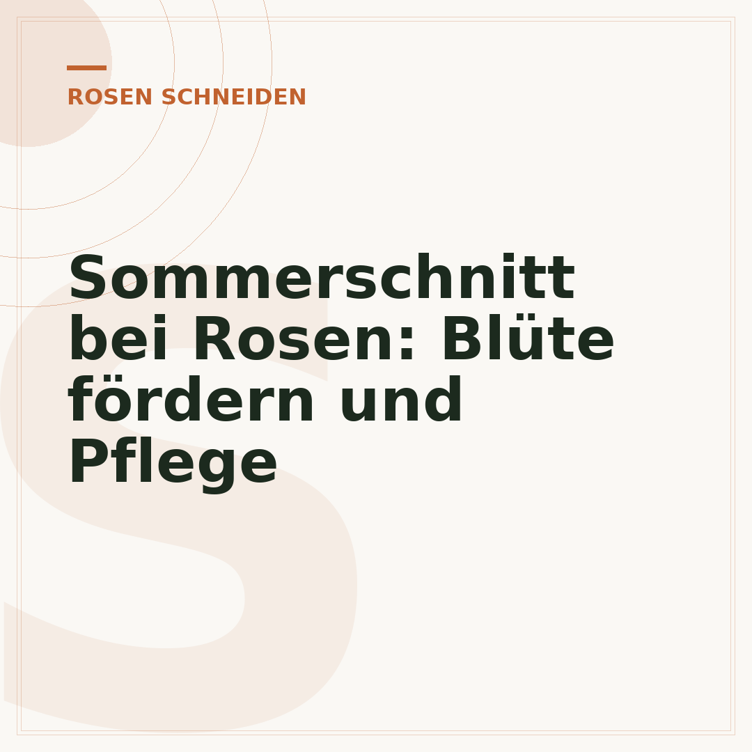 Sommerschnitt bei Rosen: Blüte fördern und Pflege