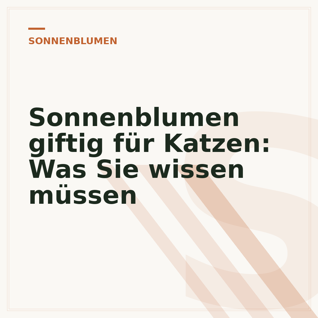 Sonnenblumen giftig für Katzen: Was Sie wissen müssen