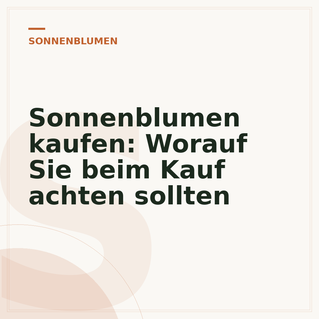 Sonnenblumen kaufen: Worauf Sie beim Kauf achten sollten